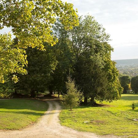 La Clairiere De La Reine Hortense - Pierres D'Histoire Saint-Prix  Экстерьер фото